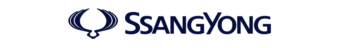 Servicio SsangYong